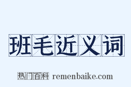 班毛近义词是什么意思的图片